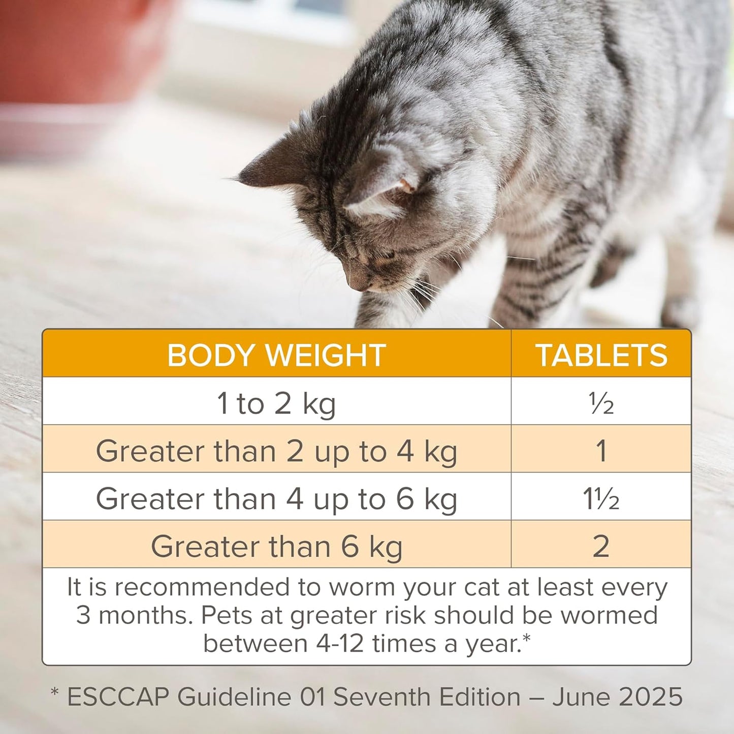 Beaphar WORMclear Cat Worming Tablets 2 Pack All-in-One Roundworm & Tapeworm Treatment
