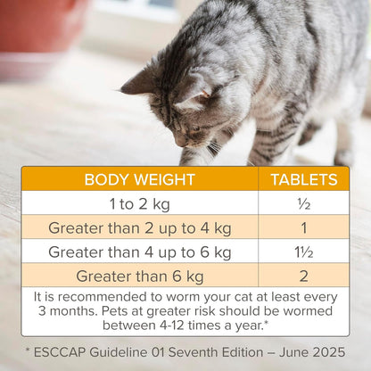 Beaphar WORMclear Cat Worming Tablets 2 Pack All-in-One Roundworm & Tapeworm Treatment
