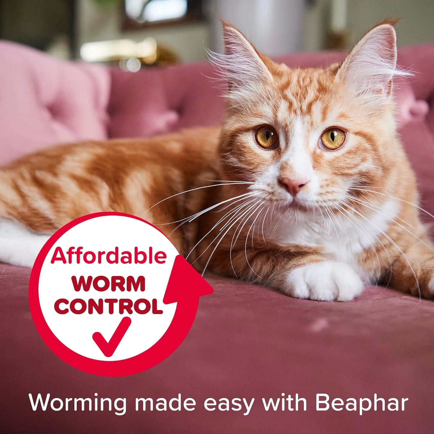 Beaphar WORMclear Cat Worming Tablets 2 Pack All-in-One Roundworm & Tapeworm Treatment