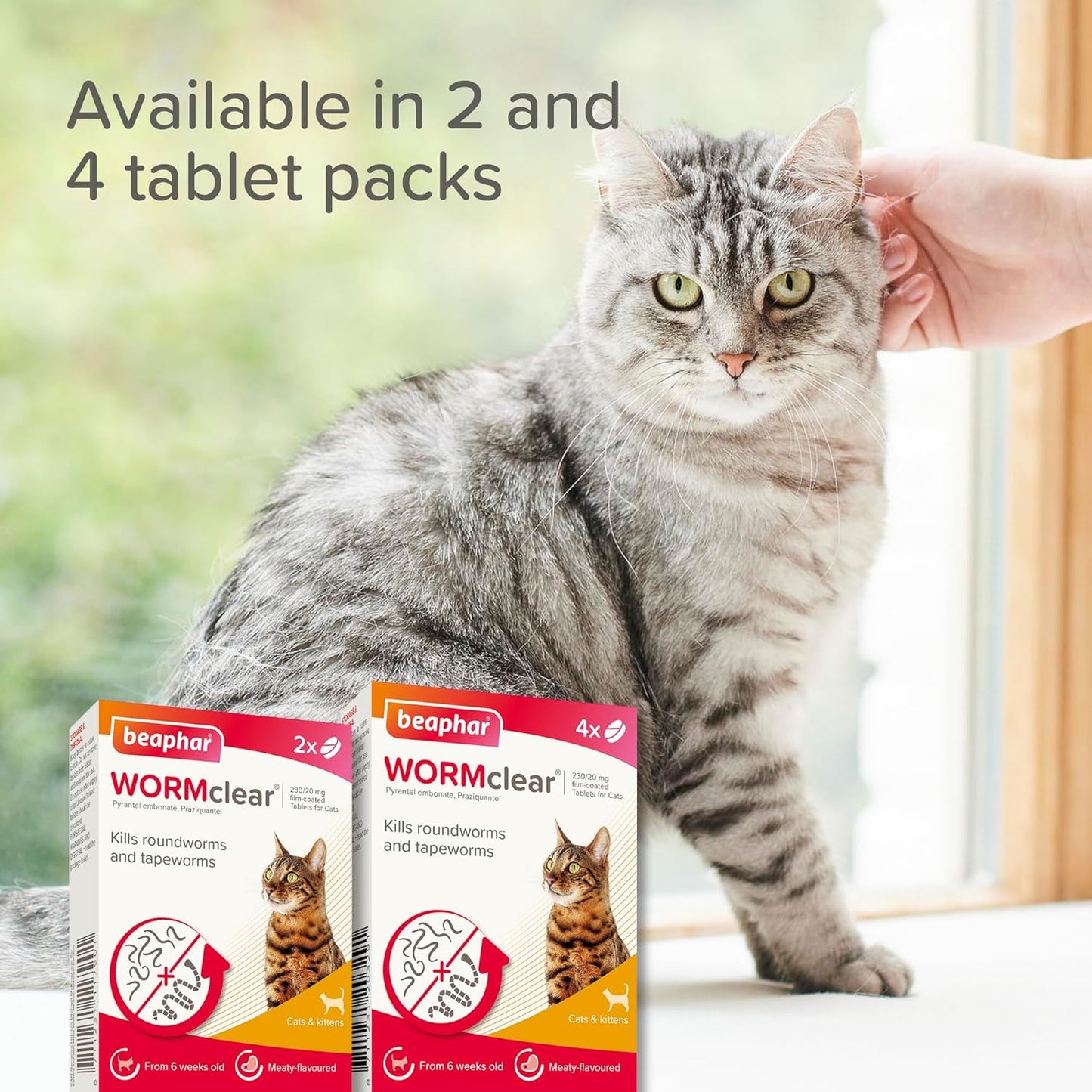 Beaphar WORMclear Cat Worming Tablets 2 Pack All-in-One Roundworm & Tapeworm Treatment