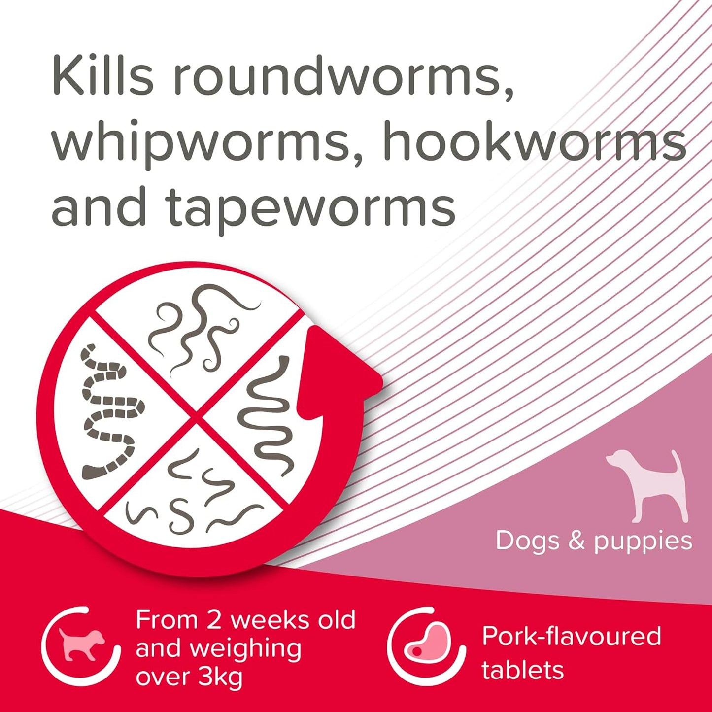 Beaphar WORMclear Dog Worming Tablets 2 Pack (Up to 20kg) All-in-One Worm Treatment for Small & Medium Dogs