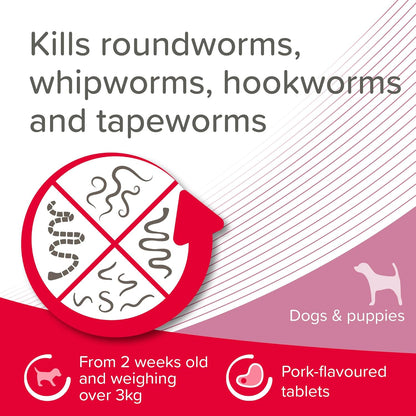 Beaphar WORMclear Dog Worming Tablets 2 Pack (Up to 20kg) All-in-One Worm Treatment for Small & Medium Dogs