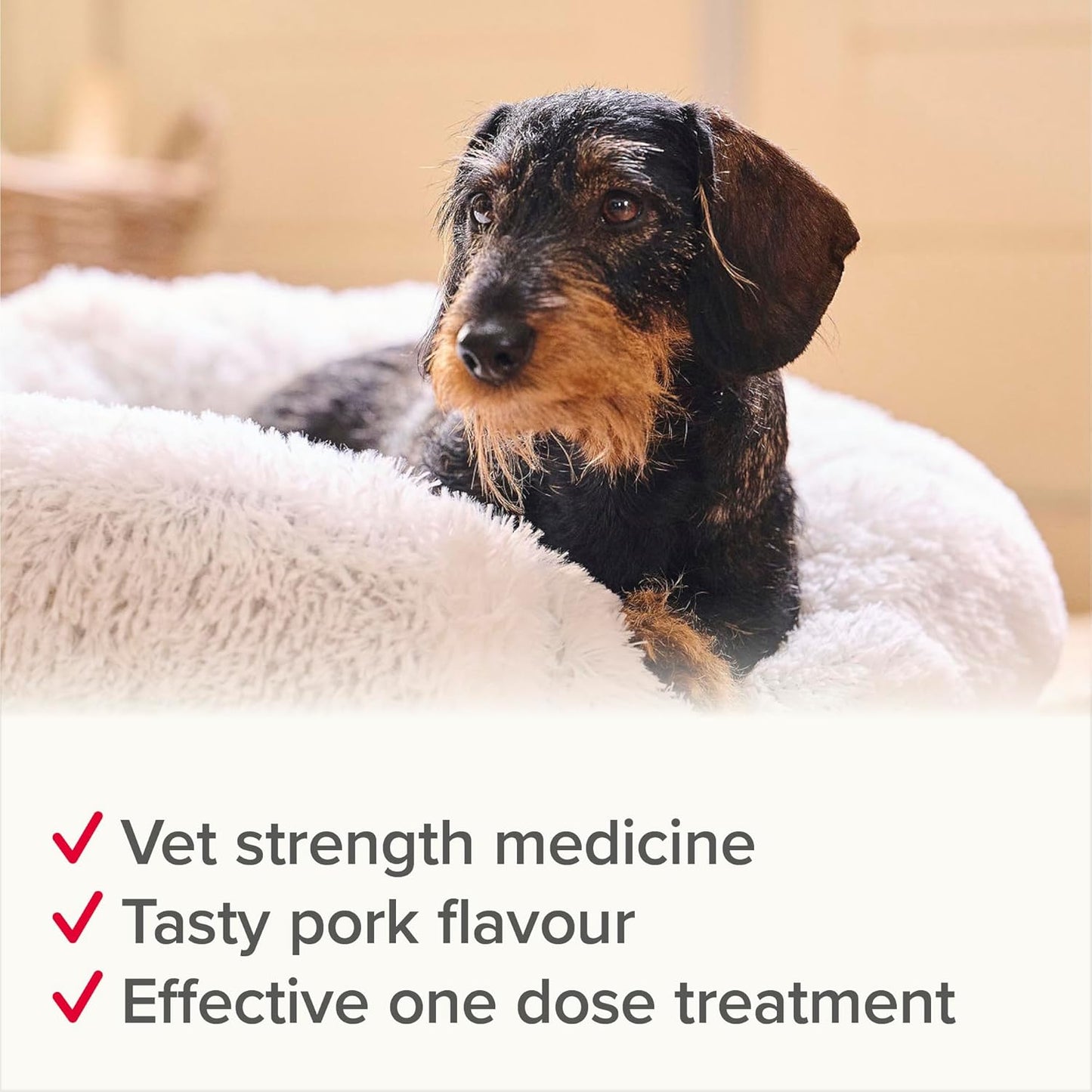 Beaphar WORMclear Dog Worming Tablets 2 Pack (Up to 20kg) All-in-One Worm Treatment for Small & Medium Dogs