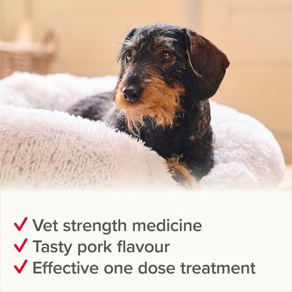 Beaphar WORMclear Dog Worming Tablets 2 Pack (Up to 20kg) All-in-One Worm Treatment for Small & Medium Dogs