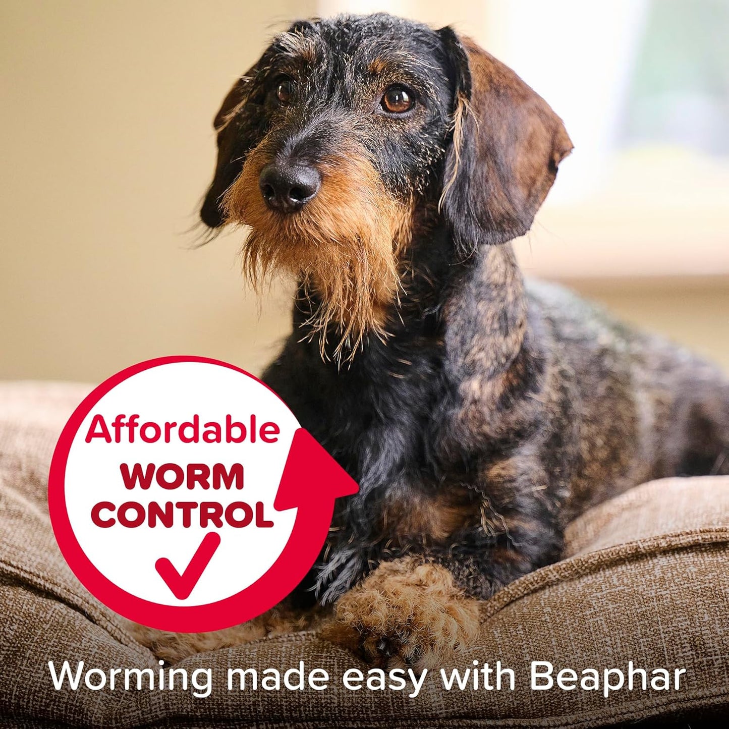 Beaphar WORMclear Dog Worming Tablets 2 Pack (Up to 20kg) All-in-One Worm Treatment for Small & Medium Dogs