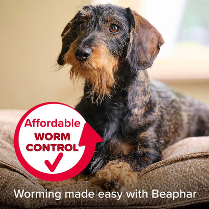 Beaphar WORMclear Dog Worming Tablets 2 Pack (Up to 20kg) All-in-One Worm Treatment for Small & Medium Dogs