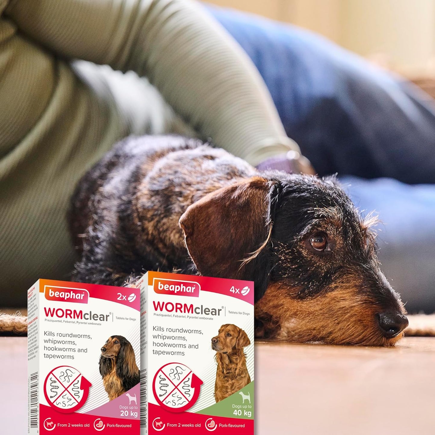 Beaphar WORMclear Dog Worming Tablets 2 Pack (Up to 20kg) All-in-One Worm Treatment for Small & Medium Dogs