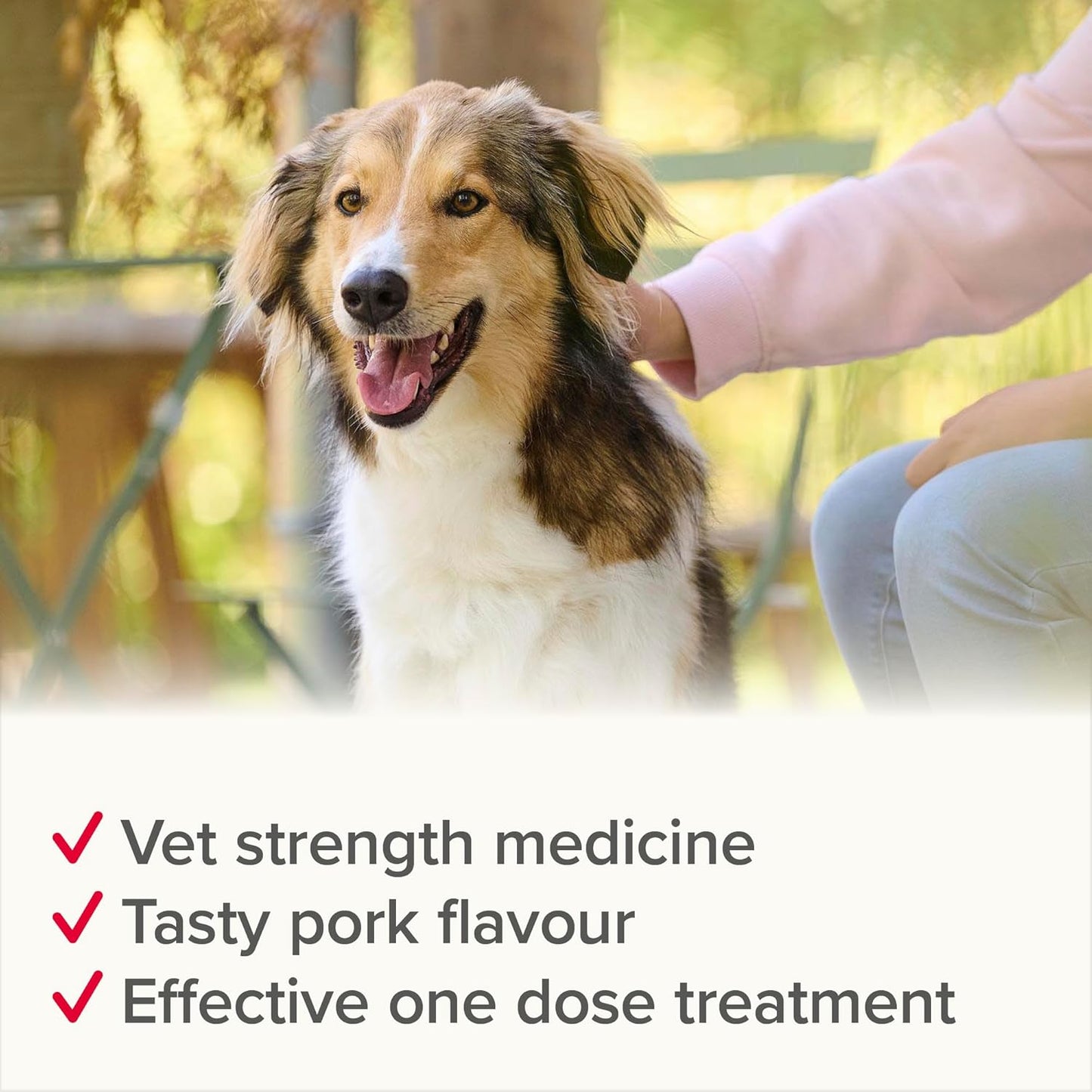 Beaphar Wormclear Dogs Up To 40kg 4 Tablets