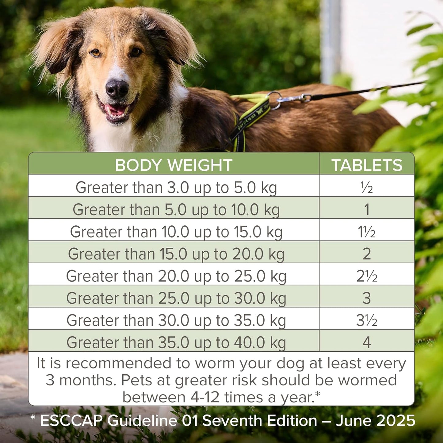 Beaphar Wormclear Dogs Up To 40kg 4 Tablets
