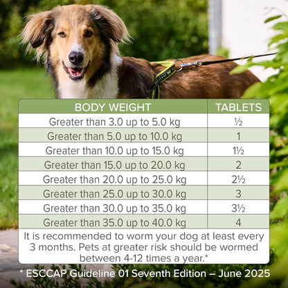 Beaphar Wormclear Dogs Up To 40kg 4 Tablets