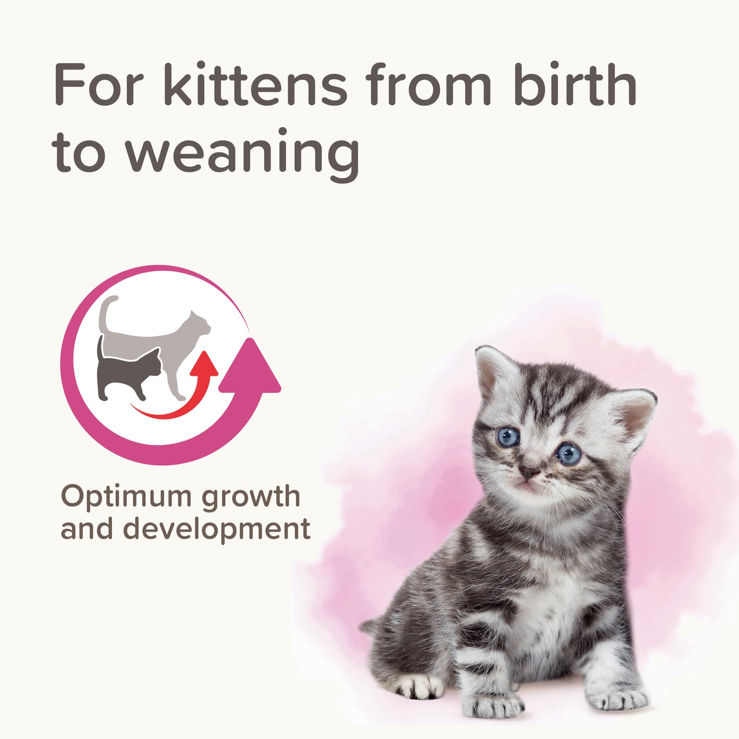 Beaphar Kitty Milk 500g