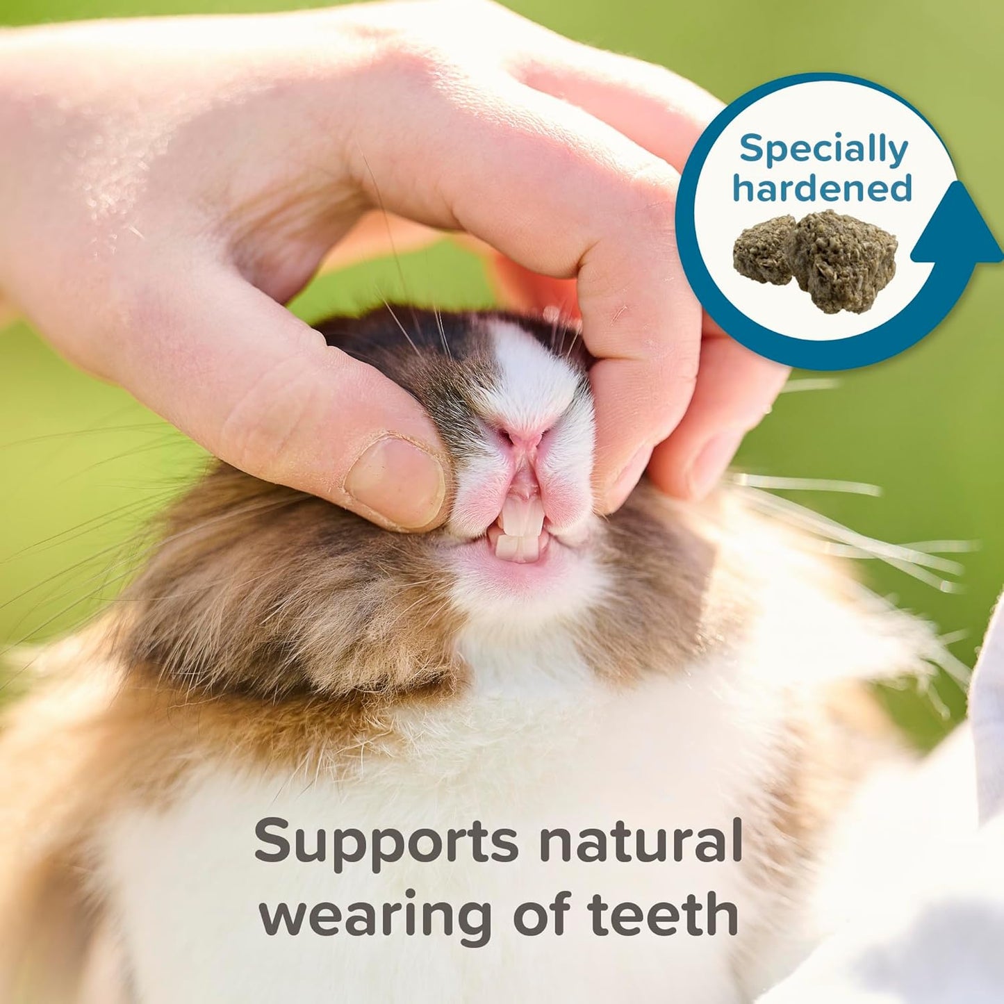 Beaphar Care Plus Degu 700g