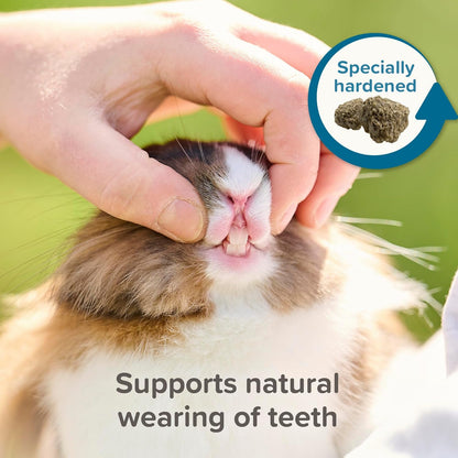 Beaphar Care Plus Degu 700g