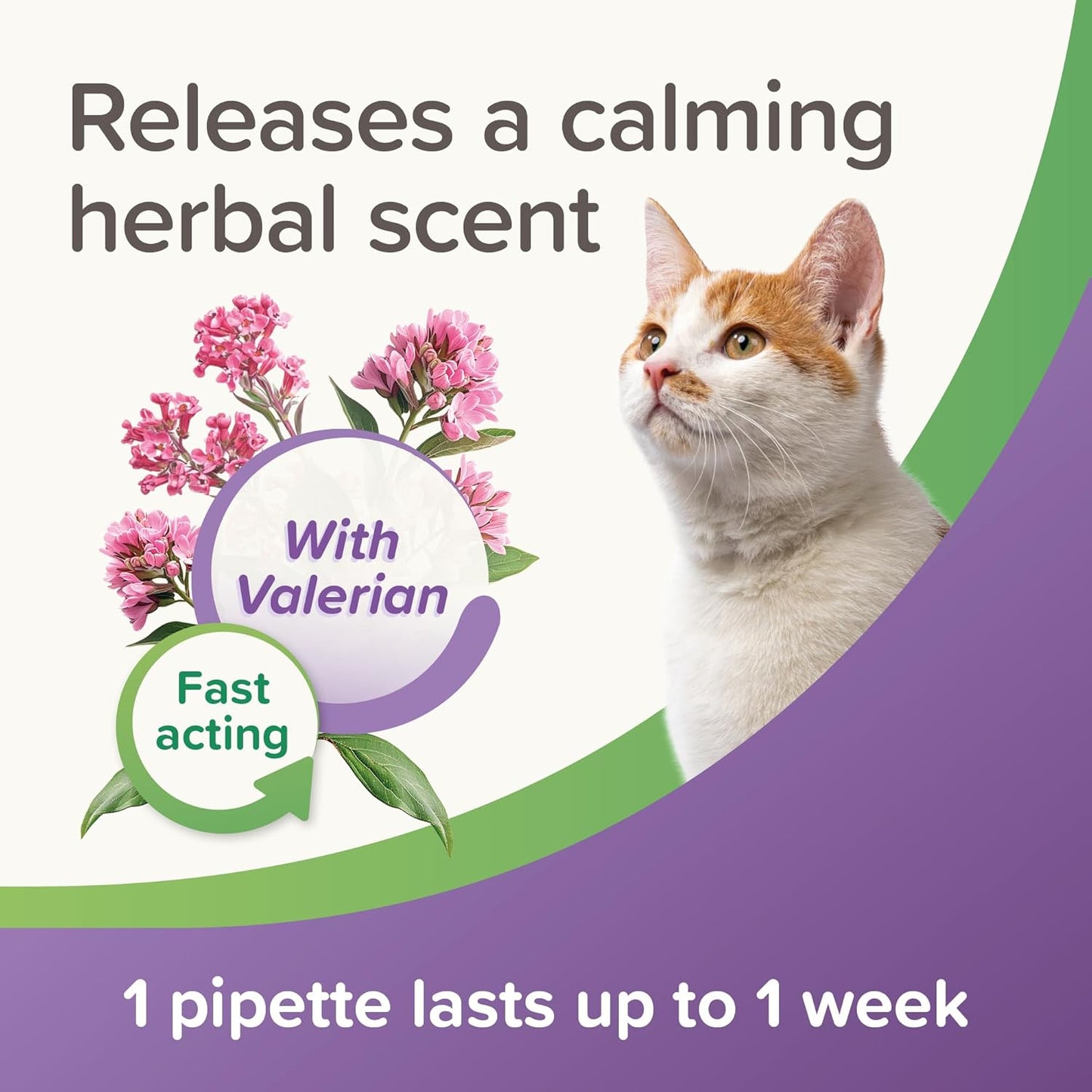 Beaphar Cat Calming Spot On 3 Weeks Cover