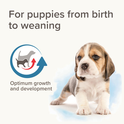 Beaphar Lactol Puppy Milk 2kg