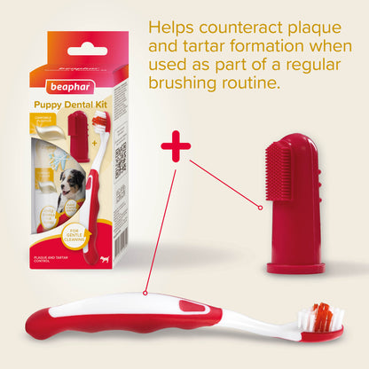 Beaphar Dog & Cat Toothbrush & Toothpaste Kit