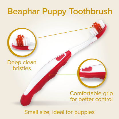 Beaphar Dog & Cat Toothbrush & Toothpaste Kit