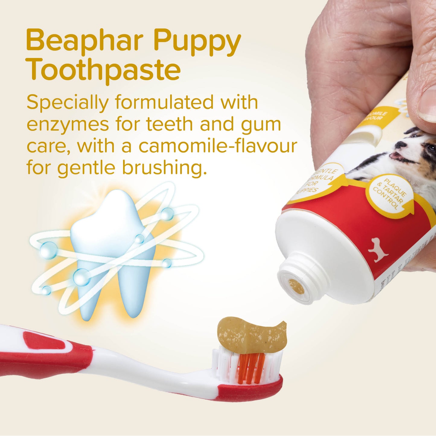 Beaphar Dog & Cat Toothbrush & Toothpaste Kit