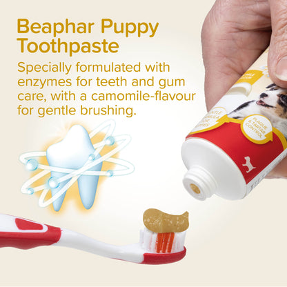 Beaphar Dog & Cat Toothbrush & Toothpaste Kit
