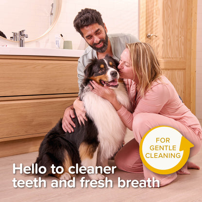 Beaphar Dog & Cat Toothbrush & Toothpaste Kit