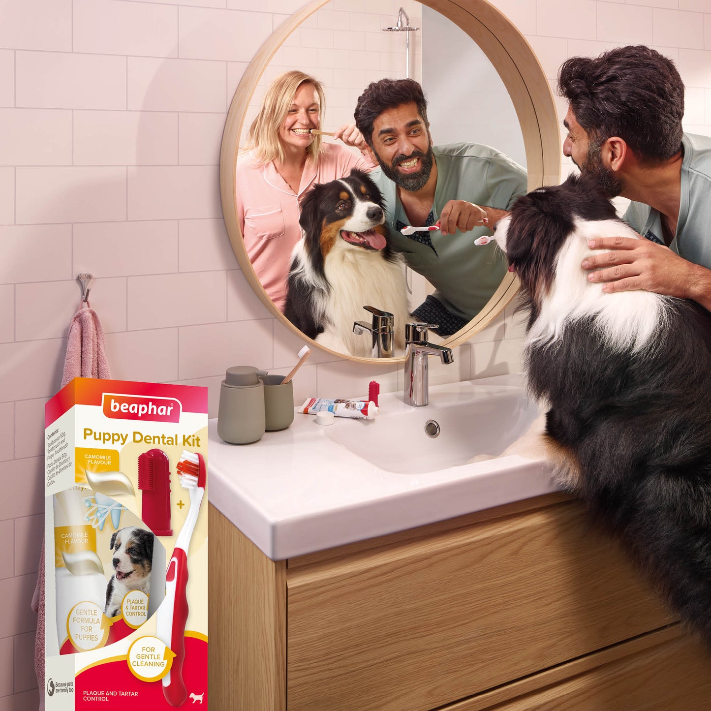 Beaphar Dog & Cat Toothbrush & Toothpaste Kit