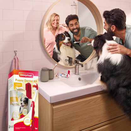 Beaphar Dog & Cat Toothbrush & Toothpaste Kit