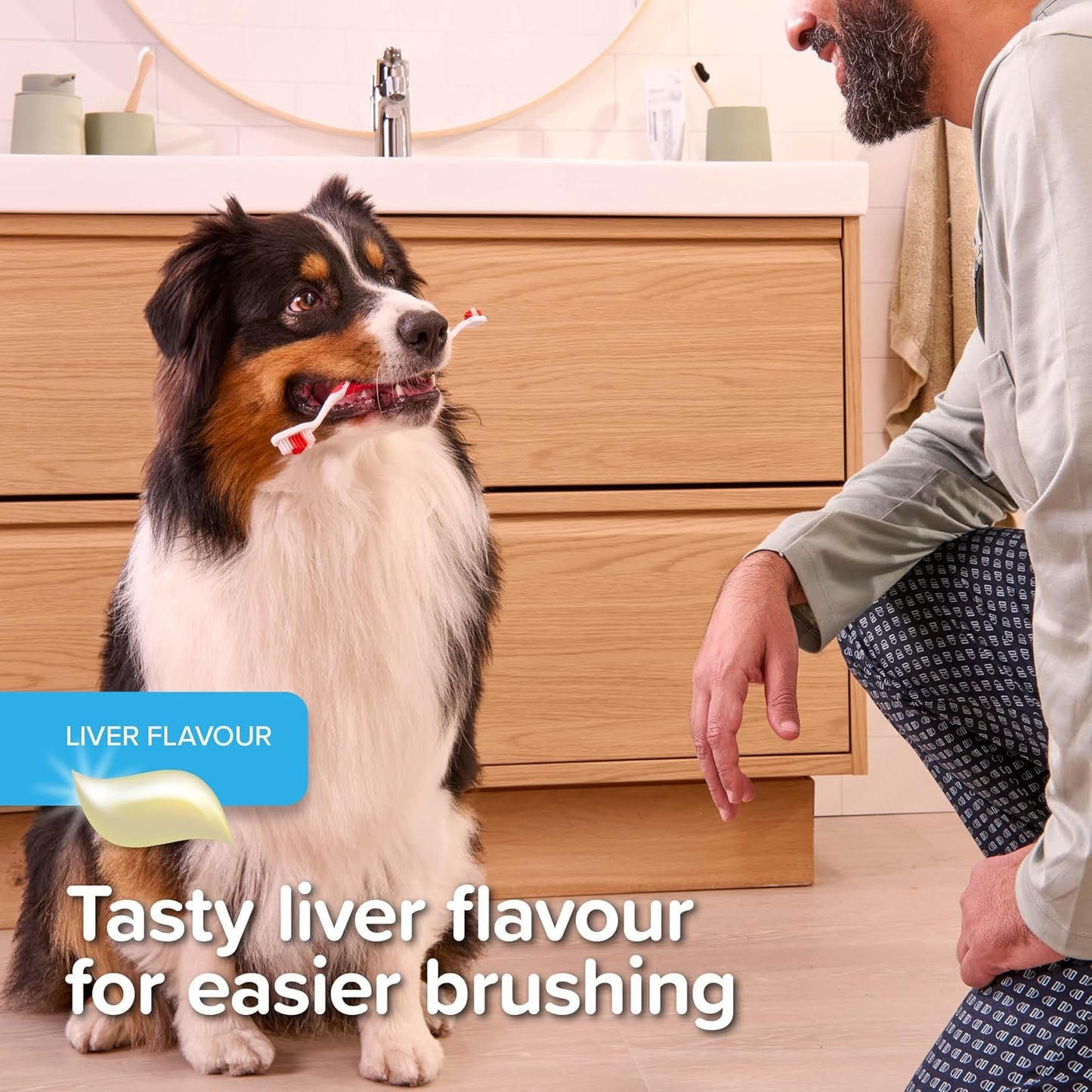 Beaphar Liver Flavour Toothpaste 100g
