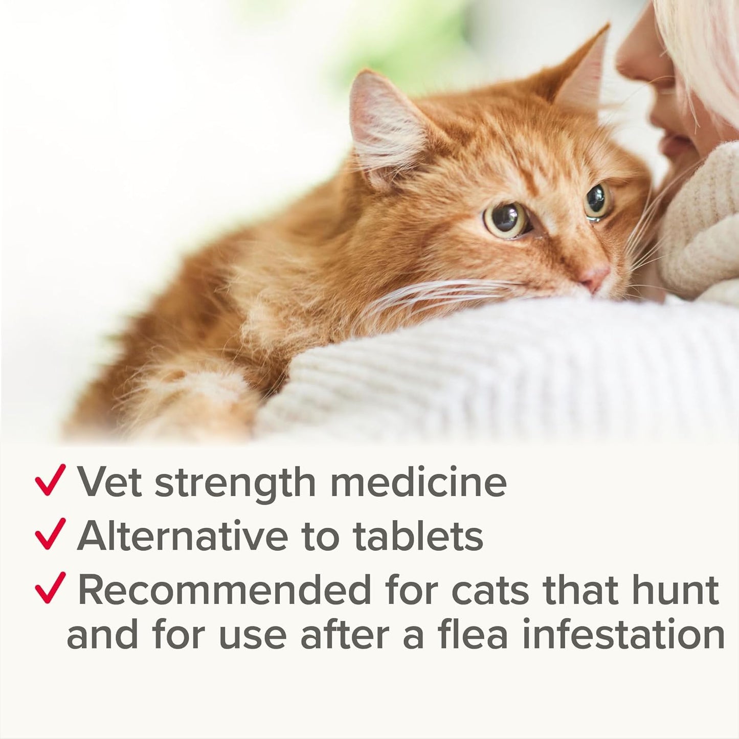Beaphar Worm Clear Cat Spot On Treatment 2 Tubes