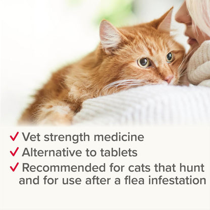 Beaphar Worm Clear Cat Spot On Treatment 2 Tubes