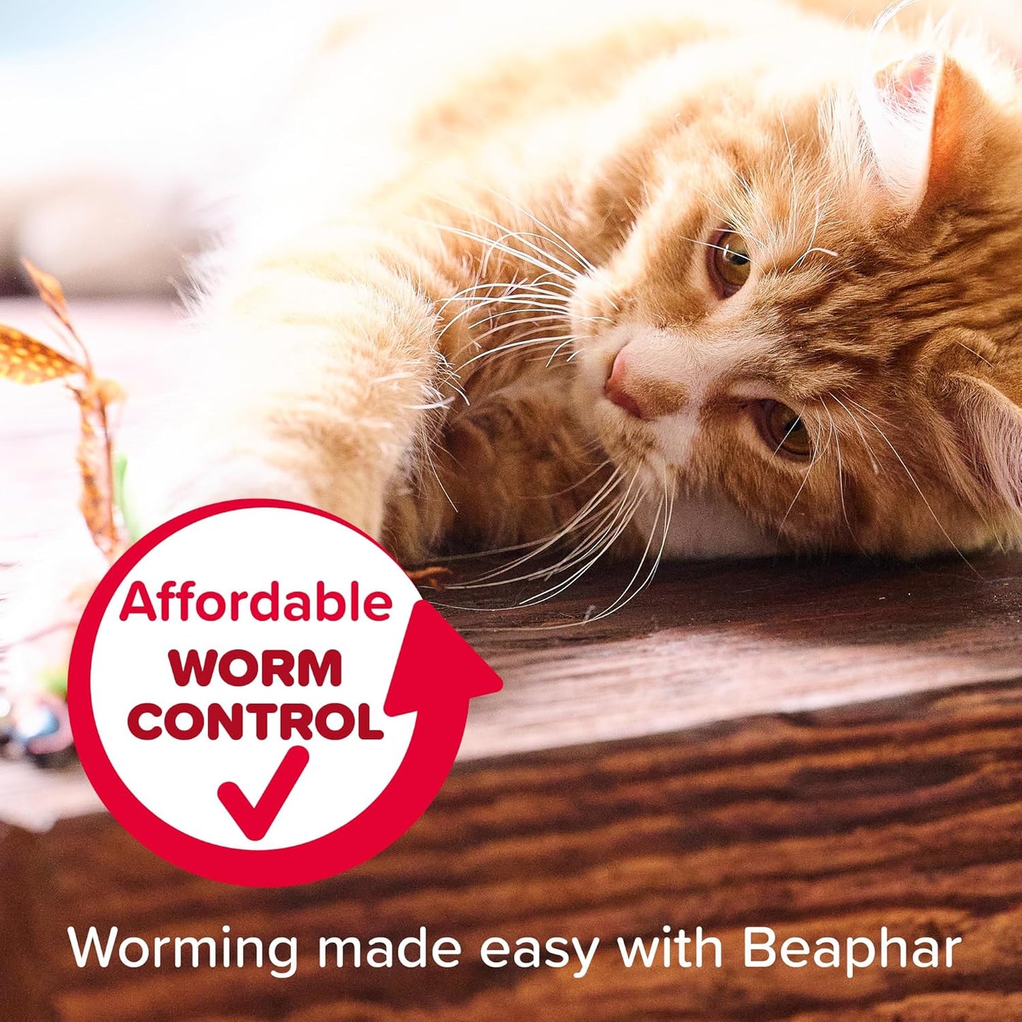Beaphar Worm Clear Cat Spot On Treatment 2 Tubes