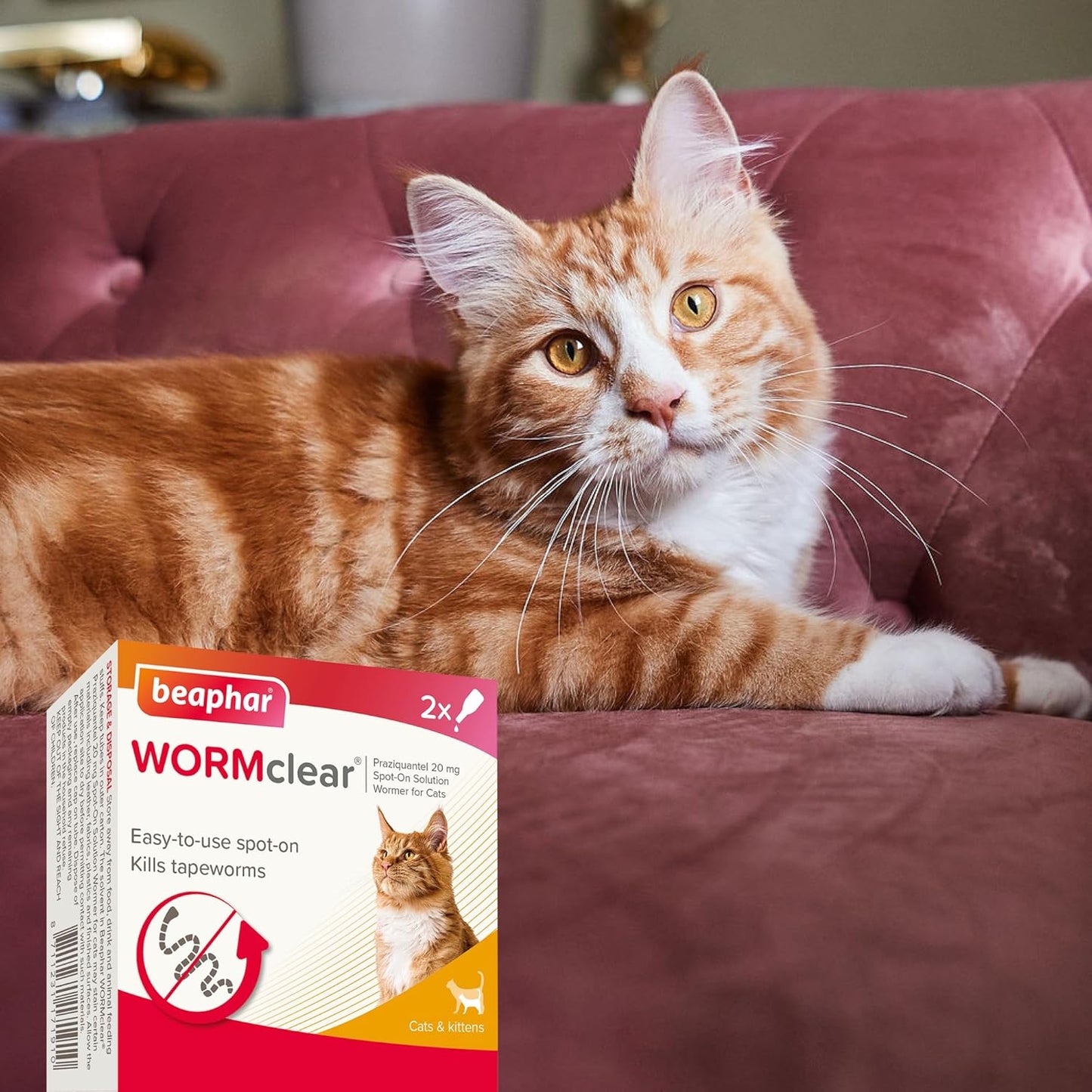 Beaphar Worm Clear Cat Spot On Treatment 2 Tubes