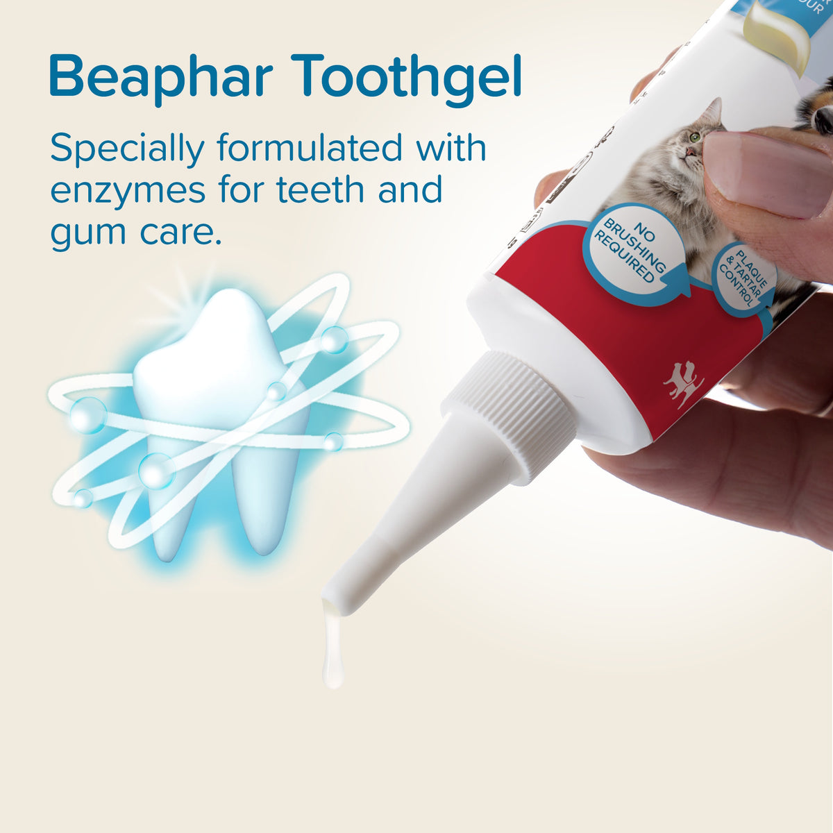Beaphar Dog Toothgel Liver Flavour 100g No Brushing