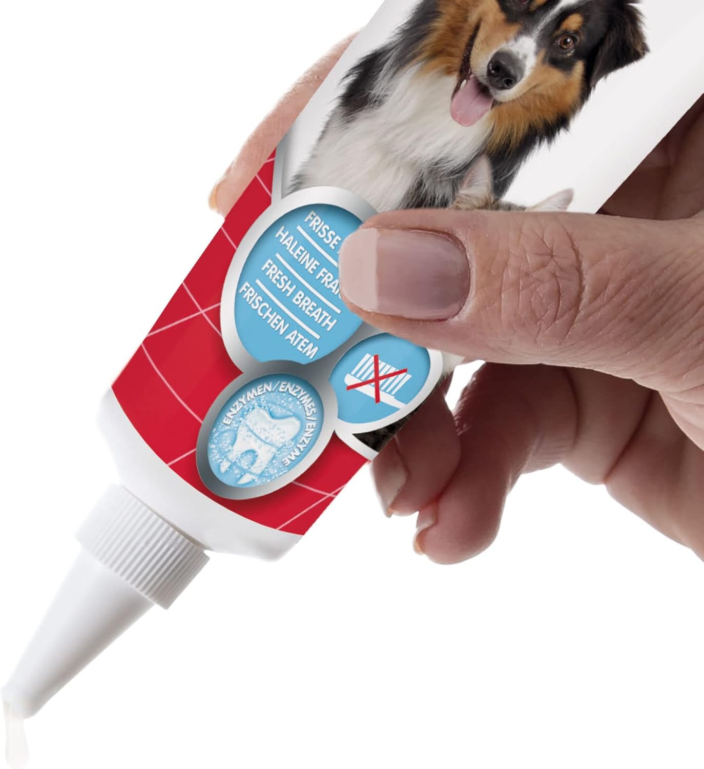 Beaphar Dog Toothgel Liver Flavour 100G
