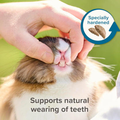 Beaphar Care Plus Chinchilla 1.5kg