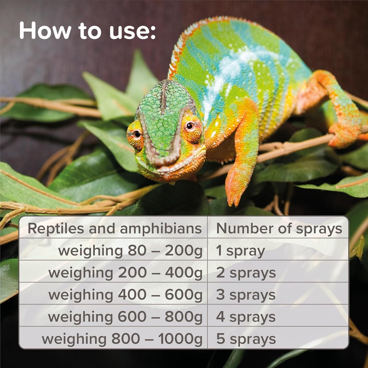 Beaphar Reptile Mite Spray 50ml