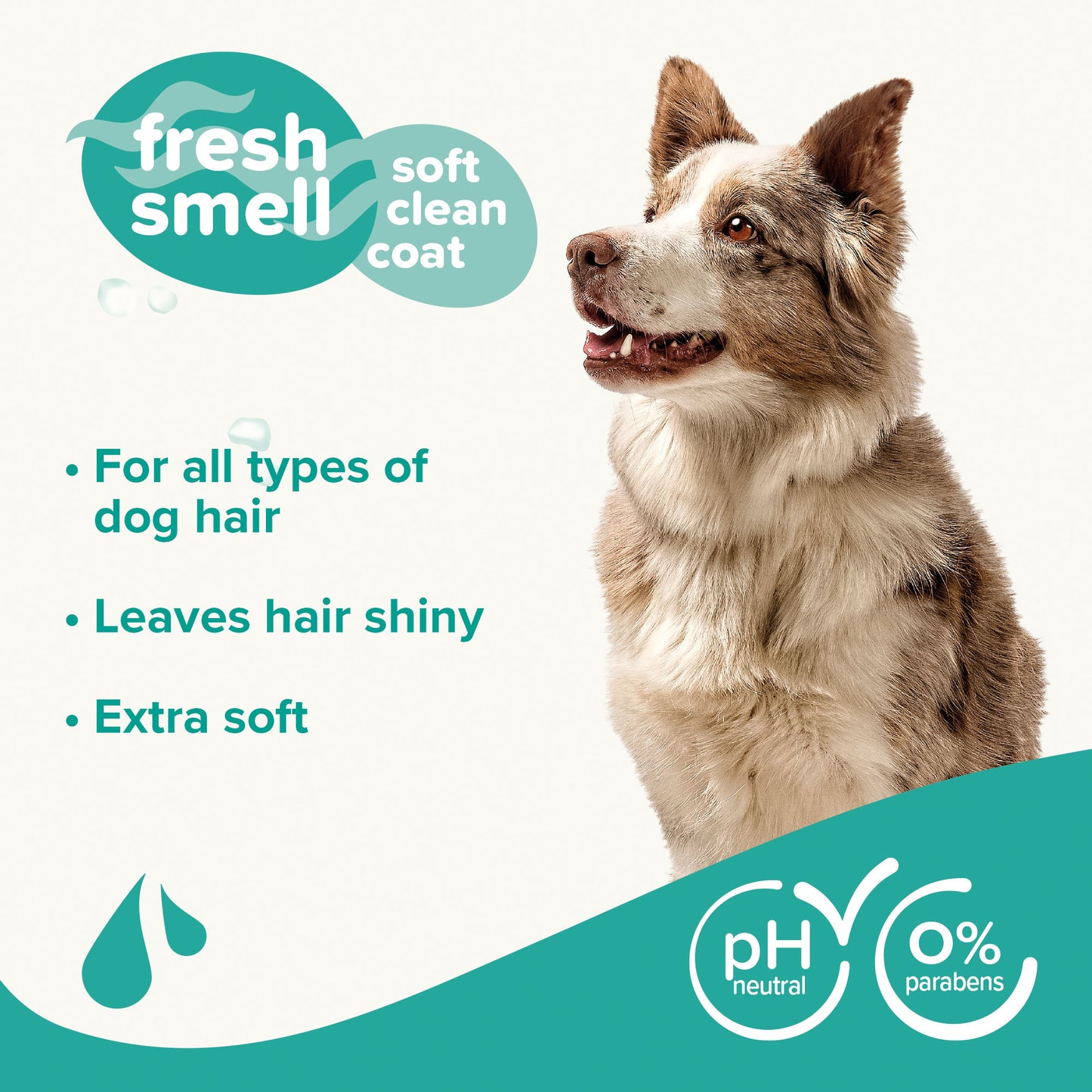 Beaphar Universal Dog Shampoo 250ml