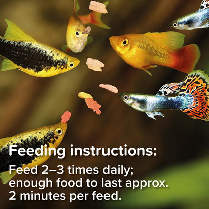 King British Tropical Fish Flake 28G Tub