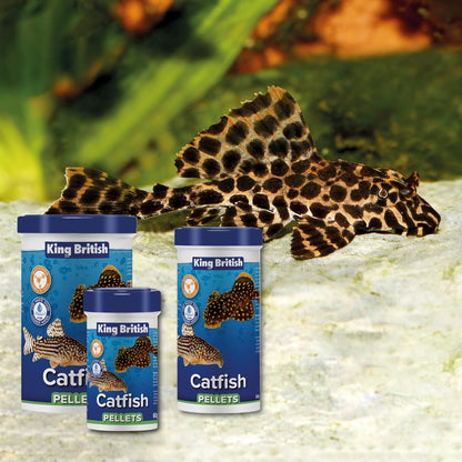 King British Catfish Pellets 60g