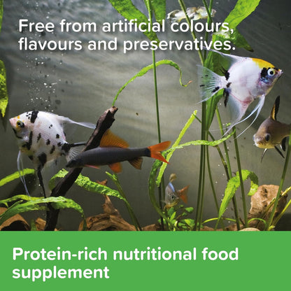 King British Tubifex Fish Treats 10g