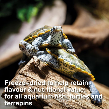 King British Tubifex Fish Treats 10g