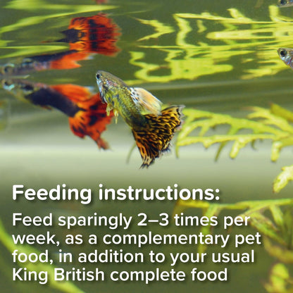 King British Tubifex Fish Treats 10g