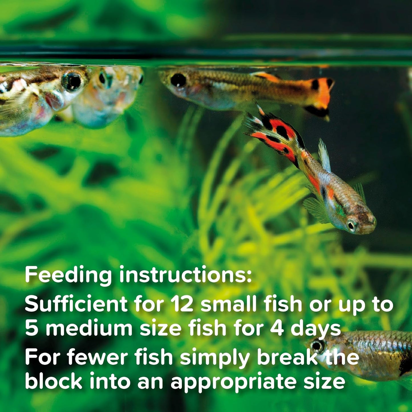 King British Weekend Feeders 4 x 3g