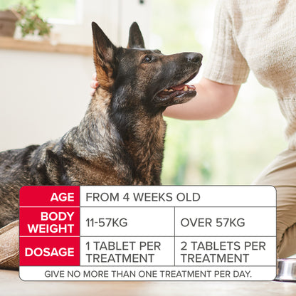 Beaphar Flea 57mg Tablets For Large Dogs 3 Tablets, Fast Acting Kills Fleas Within 24hours