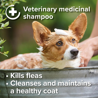 Beaphar Insecticidal Dog Shampoo Kills Fleas Fast 250ml
