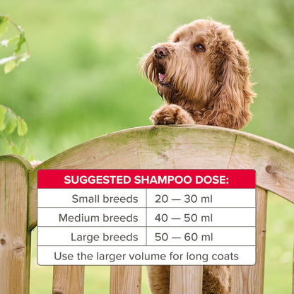 Beaphar Insecticidal Dog Shampoo Kills Fleas Fast 250ml