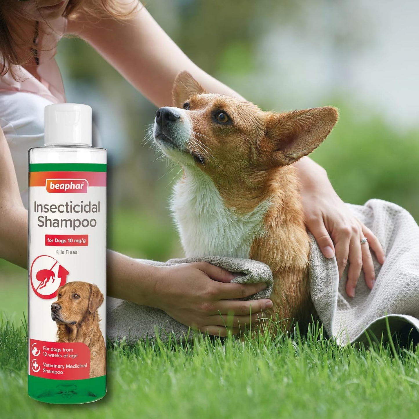 Beaphar Insecticidal Dog Shampoo Kills Fleas Fast 250ml