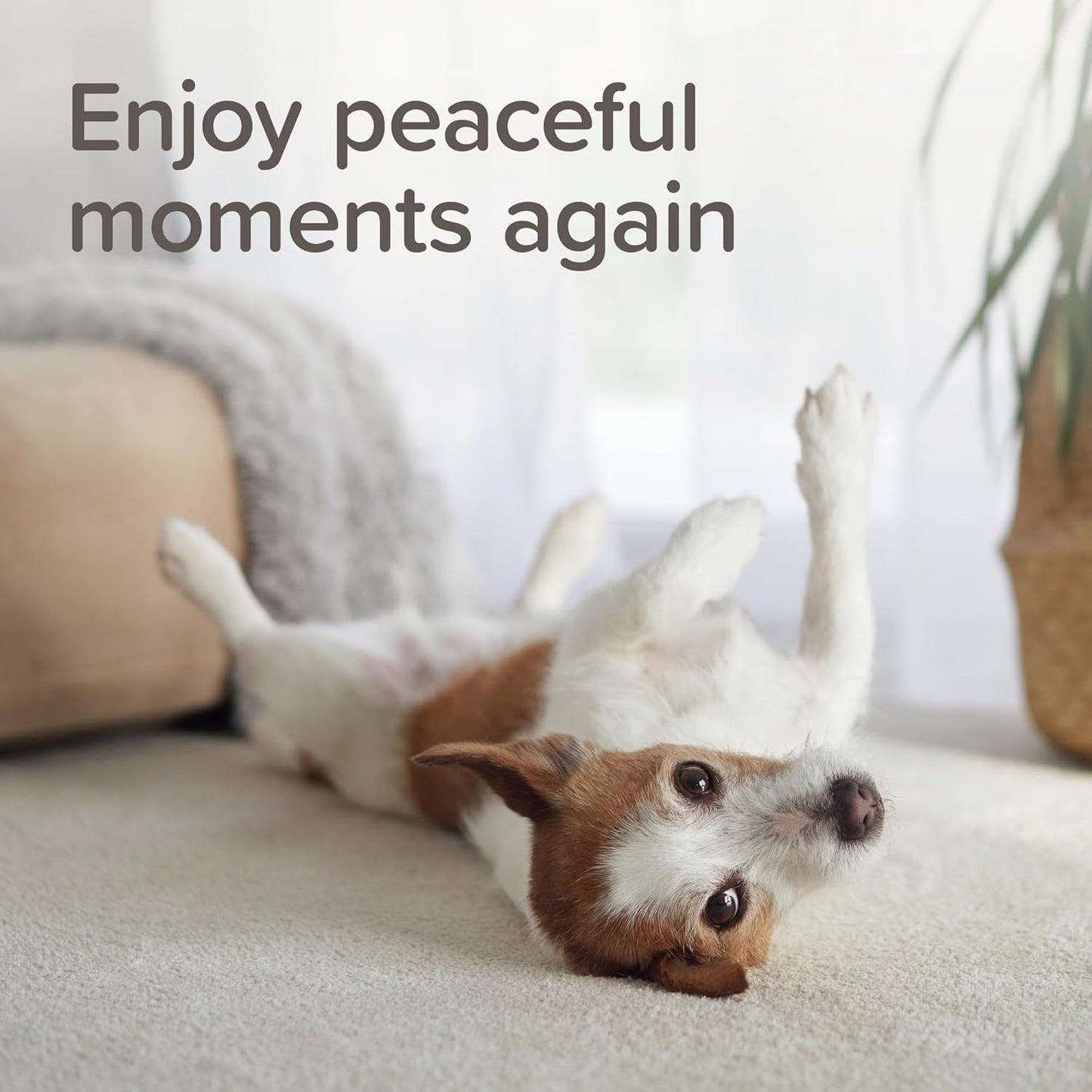 Beaphar Stressless Starter Plug In Diffuser For Cats & Dogs 30ml