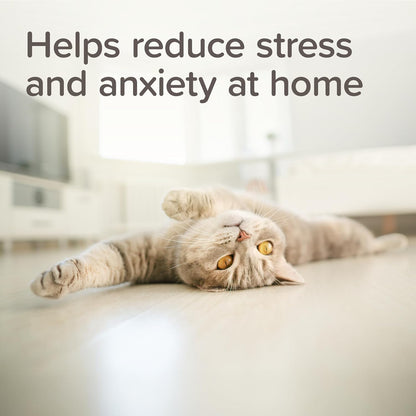 Beaphar Stressless Refill For Cats & Dogs 30ml