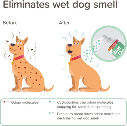 Beaphar Wet Dog Spray 250ml