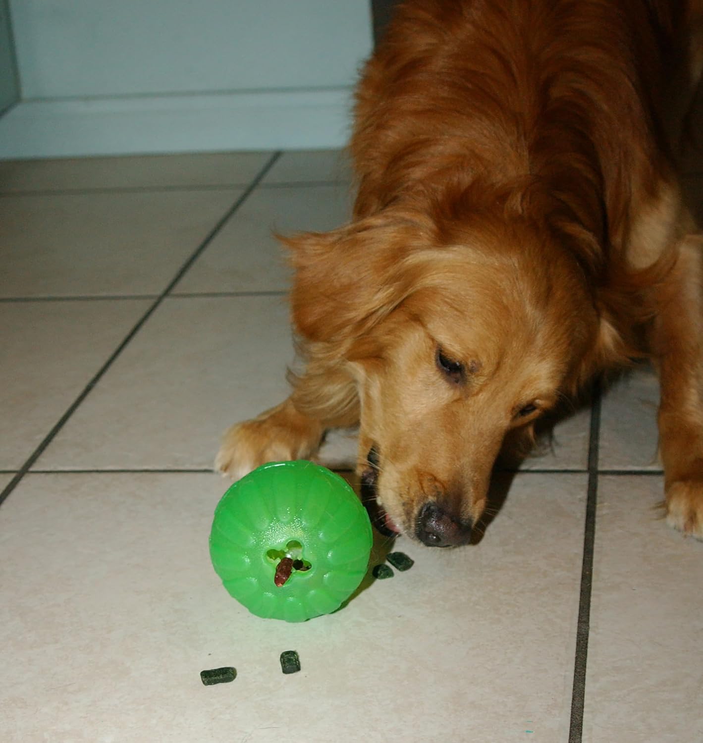 Starmark Treat Dispensing Chew Ball Medium